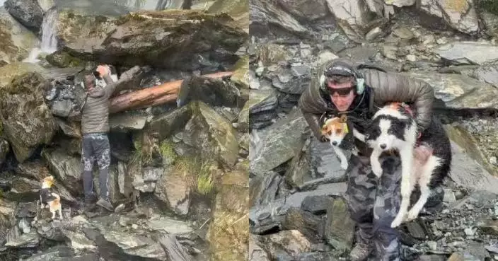 新西蘭女墮崖獲救愛犬失蹤 一塊香腸助救援隊尋回「等主一周」忠狗
