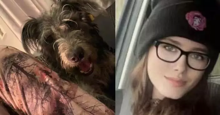 遭飼養7年獵犬攻擊 英19歲女頸部受創大量出血亡 父親1原因遭拘捕