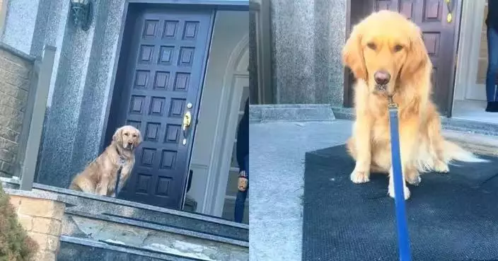 愛犬去嫲嫲家突拒離開 女飼主數小時後獲悉90歲祖母離世驚覺：牠或早有感應