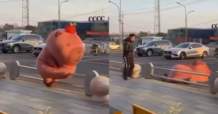 跨越欄桿疑腳滑 水豚充氣公仔扮演者下體撞欄桿引網揶揄：只有男人懂！