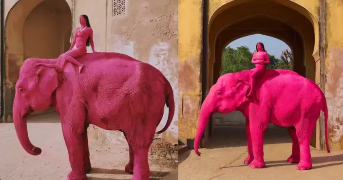 印度母象遭全身塗滿粉紅顏料拍照數月後死亡 俄女攝影師陷虐待動物風波