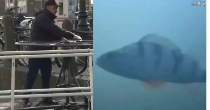 魚群遷徙遭水閘擋路 荷蘭推「魚門鈴」計劃邀全球網民幫魚按鐘開路