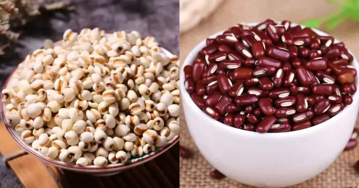 濕氣重易疲倦水腫？中醫教按體質用「祛濕三寶」調理更有效