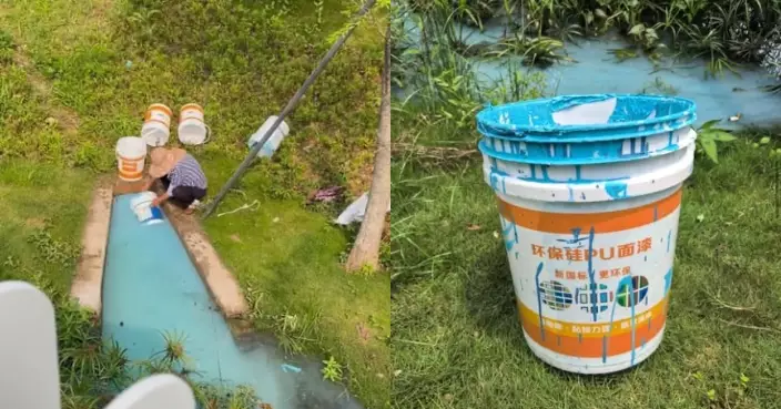 女子公園湖邊清洗油漆桶致湖水變藍引眾怒 深圳街道辦檢測證未造成有毒污染