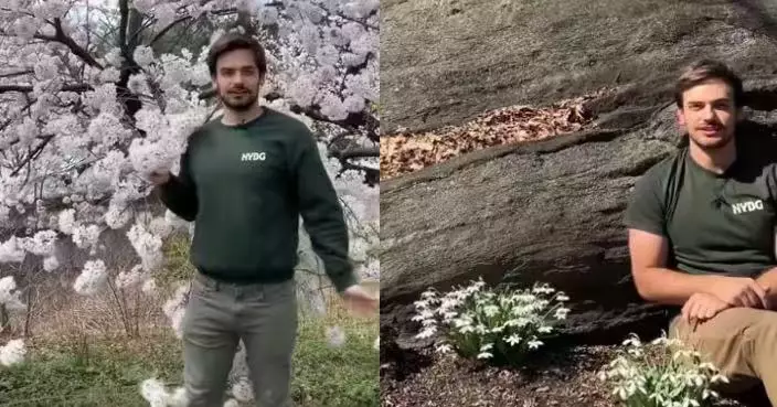 美型男園藝師拍片講解植物知識 因出眾外表爆紅 網民唔睇植物睇靚仔瘋狂「示愛」