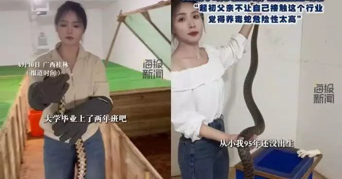 畢業2年後返鄉接手家業 桂林後生靚女養逾6萬條毒蛇出售蛇毒蛇肉年賺逾百萬