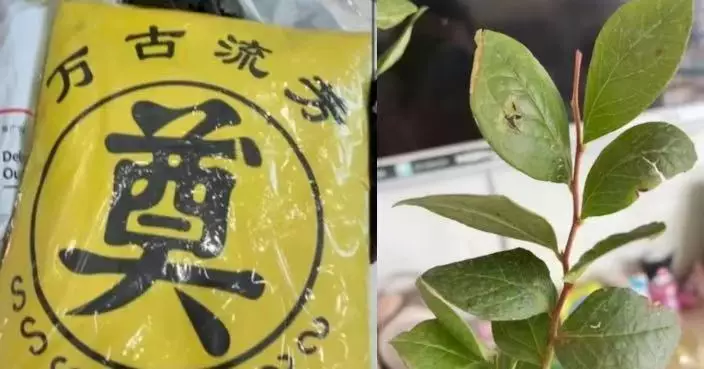 網購藍莓苗因「品相不好」退款 遼寧女兩日後收「奠」字殯葬品疑遭報復報警