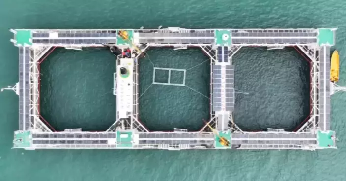 珠海智能養魚 聲納技術覆蓋100米半徑 監測魚群無死角