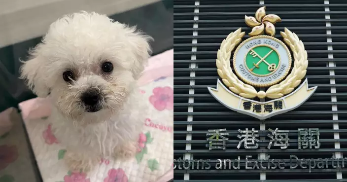 海關落馬洲支線管制站檢懷疑非法進口犬隻 64歲女子被捕