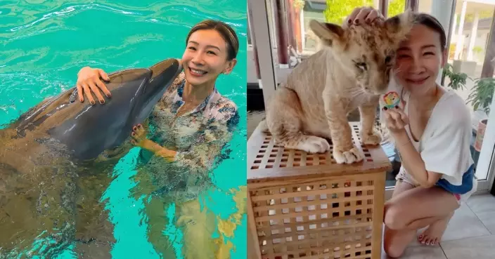 區文詩遊布吉圓與海豚暢泳心願 再去Cafe親親小獅子