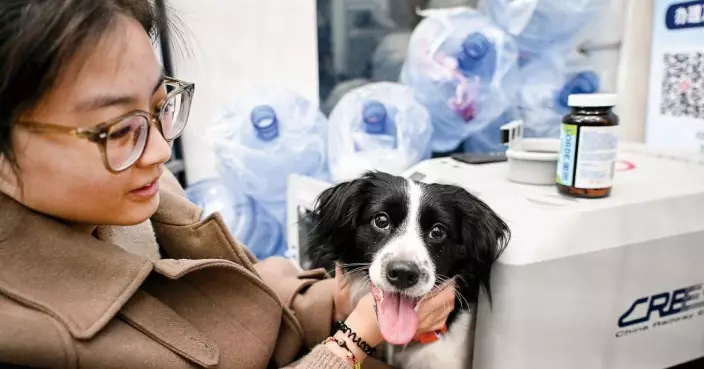 高鐵「愛寵行」試行一年累計託運逾1.5萬隻寵物 擴展至121座車站228班列車