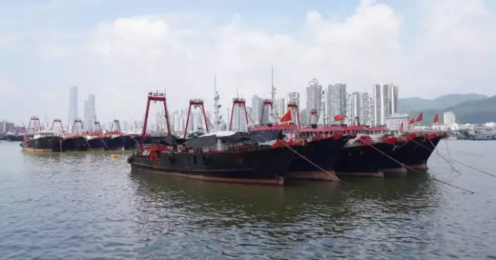 香港漁民團體聯會：油價令成本倍增漁民不敢出海 市民會「少咗魚買」