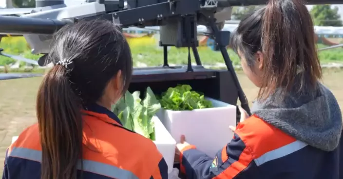 農田變機場！成都無人機送菜 5分鐘飛4公里 保住新鮮送到客手中