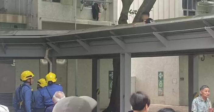 天水圍8歲童爬行人道上蓋撿紙飛機 祖母涉疏忽照顧被捕