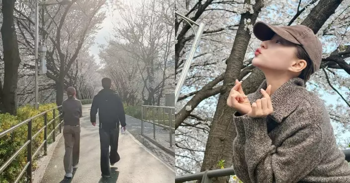 與竇驍櫻花樹下散步好浪漫 何超蓮甜晒「老公視角」少女心十足