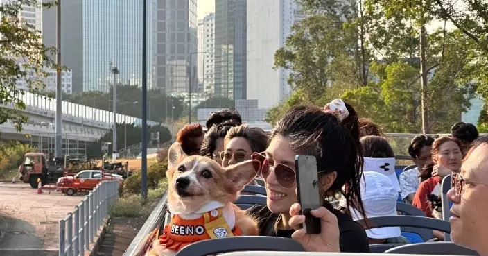 觀光城巴4月起推全港首創「常規寵物開篷巴士團」 夜遊日遊行程現已開放預約