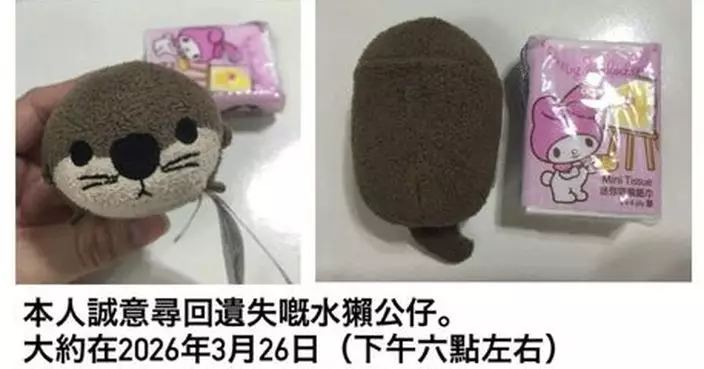 女大生懸賞$3萬盼尋回陪伴10年水獺公仔 兄長加碼冀圓妹心願