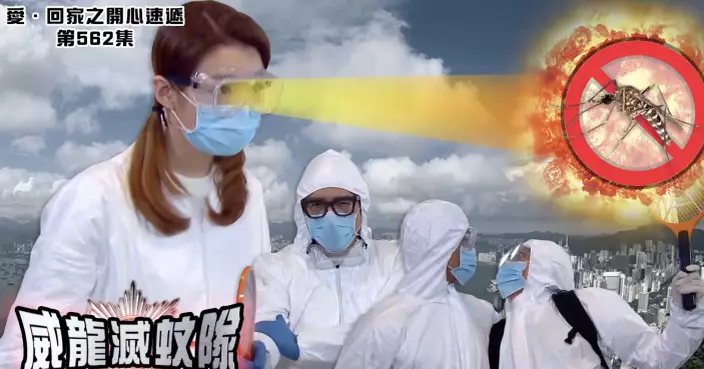 港人呻高智商進化蚊攻陷香港仲識得「游擊戰術」  網民總結「精英蚊」五大特徵