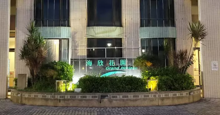 疑困兩幼童入狗籠 青衣32歲印傭涉虐兒被捕