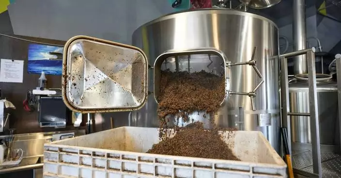 聖地牙哥牧場釀酒廠合作 啤酒渣變牛飼料實踐升級再造