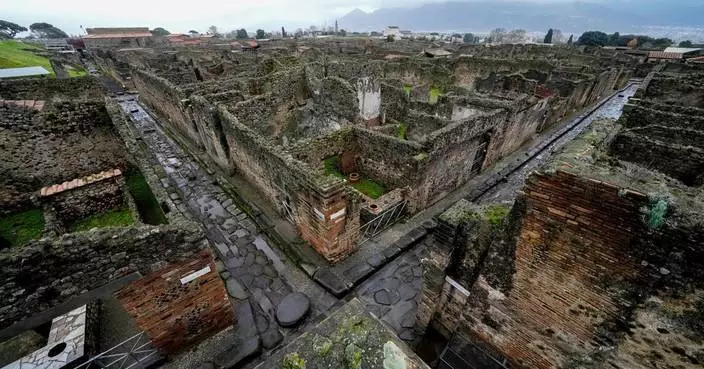 龐貝古城：AI重塑火山爆發遇難者面貌 揭示歷史災難新視角