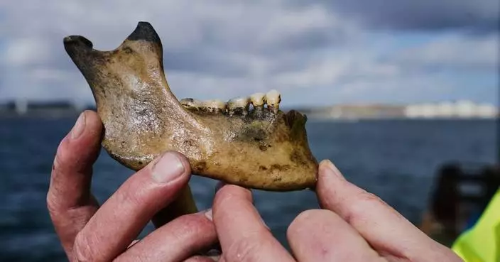 丹麥戰艦沉沒225年後重見天日 納爾遜上將擊沉