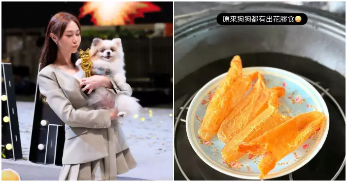 港姐冠軍黃嘉雯生活奢華  居於半億海景豪宅愛犬零食竟是名貴花膠