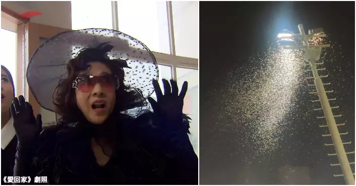 黃大仙「飛蟻大軍」壓境  街坊急關窗防入屋：多到頭皮發麻