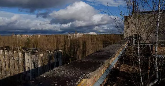 切爾諾貝爾核災區成野生動物天堂 普氏野馬重現展大自然韌力