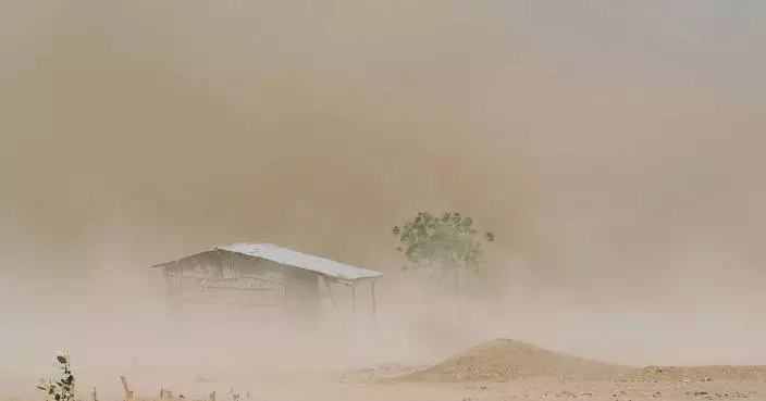 沒藥樹受歷史性乾旱威脅 影響非洲收入及名貴香水供應