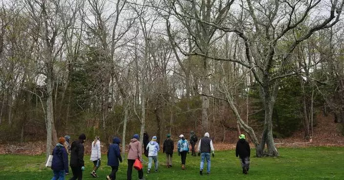 紐波特義工擴展樹木覆蓋率 助貧困社區享綠化效益