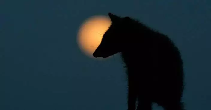 拉丁美洲及加勒比海地區慶祝聖周 波哥大悼念殉職軍人