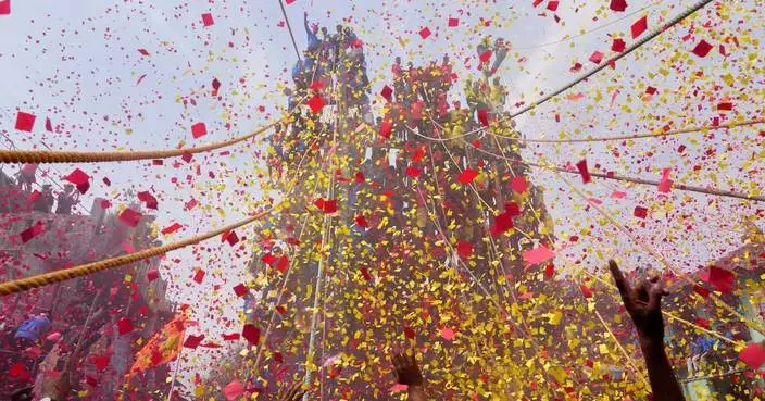 印度村民競豎巨型竹竿 數百年傳統祭祀女神