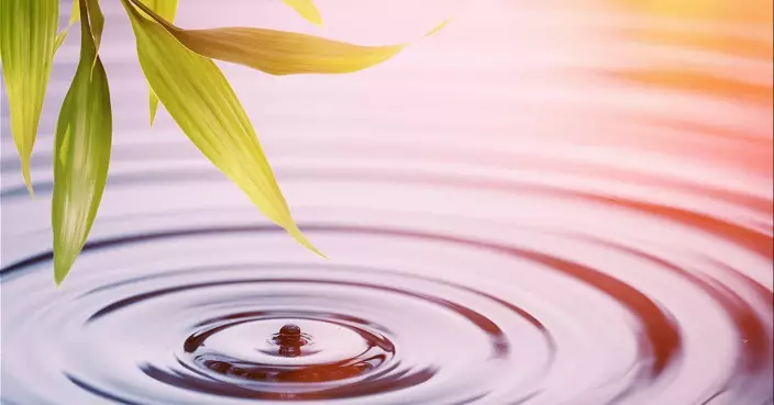 內地官員多主動出擊 深圳麵包店結業 官員勸服店主 繼續開店服務市民