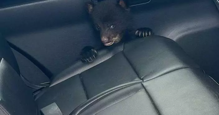 新澤西州警員公路溝渠救出熊寶寶