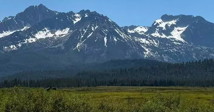 特朗普擬將森林服務局總部遷至猶他州 關閉多個研究設施