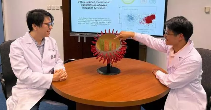 港大醫學院嶄新AI系統  「預警」高風險禽類甲流病毒防感染人類