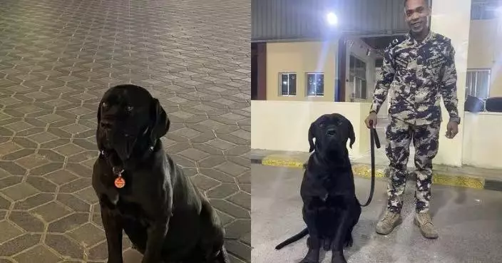 愛犬因犬種限制難返阿聯酋 飼主跨越3國奔走6200公里取認證闖邊境終帶回家