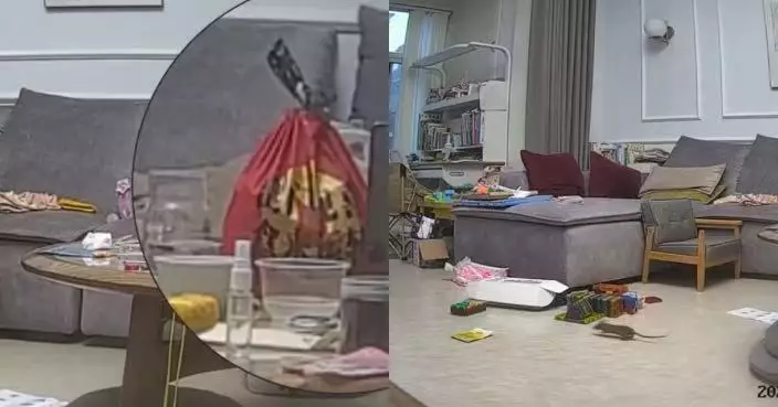 河南女收外賣後帶孩子洗手 轉眼見大老鼠亂竄 睇CCTV揭從外賣袋爬出
