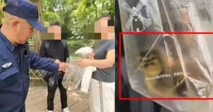 遊客將西湖鴛鴦雛鳥裝袋私自帶走 遭攔截辯稱是鴨 義工：人工飼養生存率極低