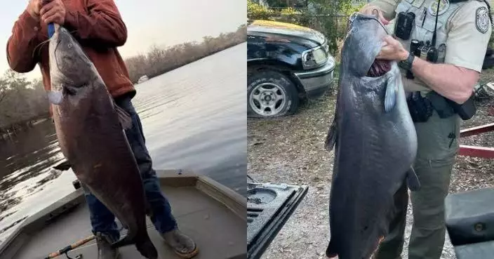 打破11年來最重紀錄！釣客佛州河流捕獲逾33KG巨型藍鯰魚震驚釣魚圈
