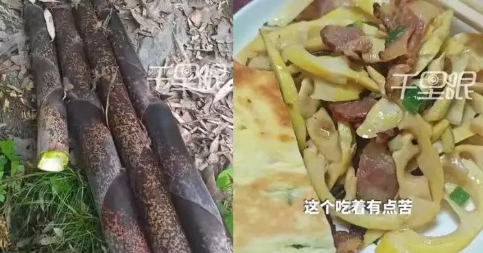 採路邊竹筍回家炒臘肉 陝西男食後上吐下瀉 愛犬也中招倒地翻白眼