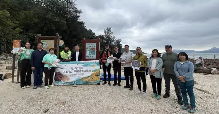 漁護署稱橋咀洲秩序大致良好 議員指加強人手巡查等措施有成效