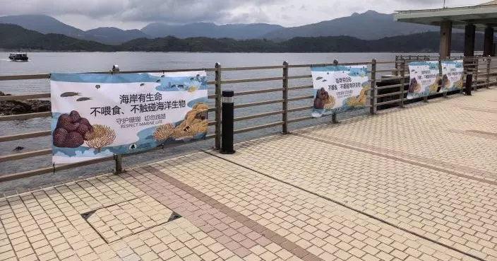 黃金周橋咀洲人流明顯增加　多個部門聯合巡查向訪客派宣傳單張