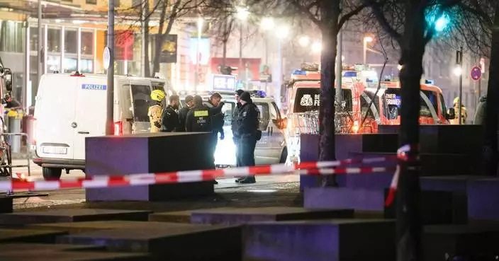柏林警方拘捕大屠殺紀念碑刺人案疑犯 涉協助教唆