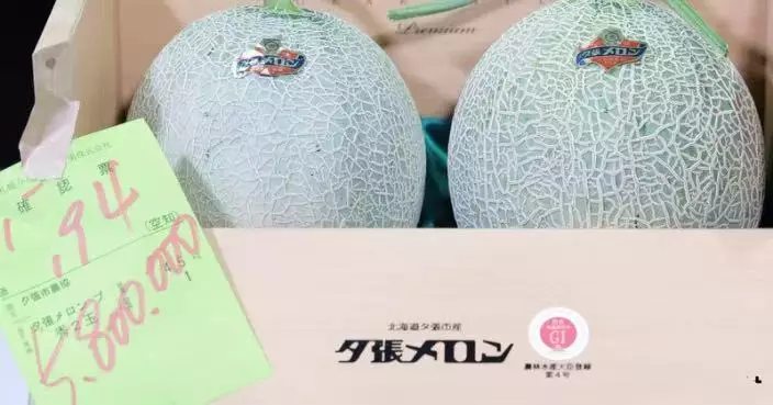 北海道頂級夕張哈密瓜拍賣創新高 29萬成交背後藏暖心原因