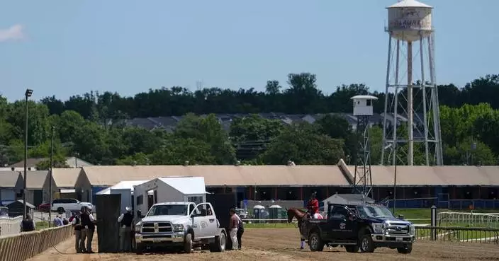 賽馬首次出賽後猝死 普利克尼斯錦標前夕傳噩耗