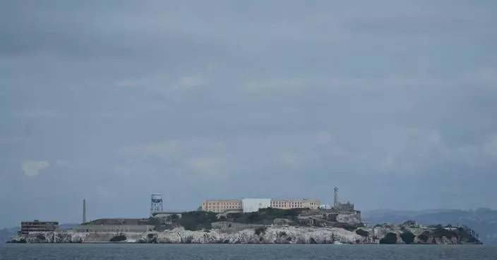 郊狼游逾3公里抵惡魔島 距離遠超生物學家預期