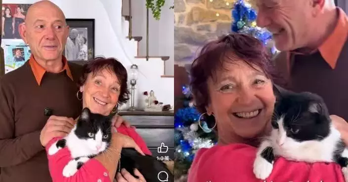 隨飼主去西班牙旅行走失 貓貓疑徒步250公里返法國住所附近與主人團聚
