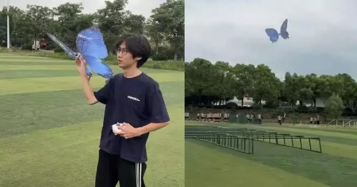單隻逾千蚊！武漢大學生研發仿生蝴蝶可振翅盤旋飛行 3個月創收近35萬